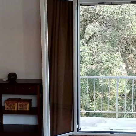 Village House Apartment